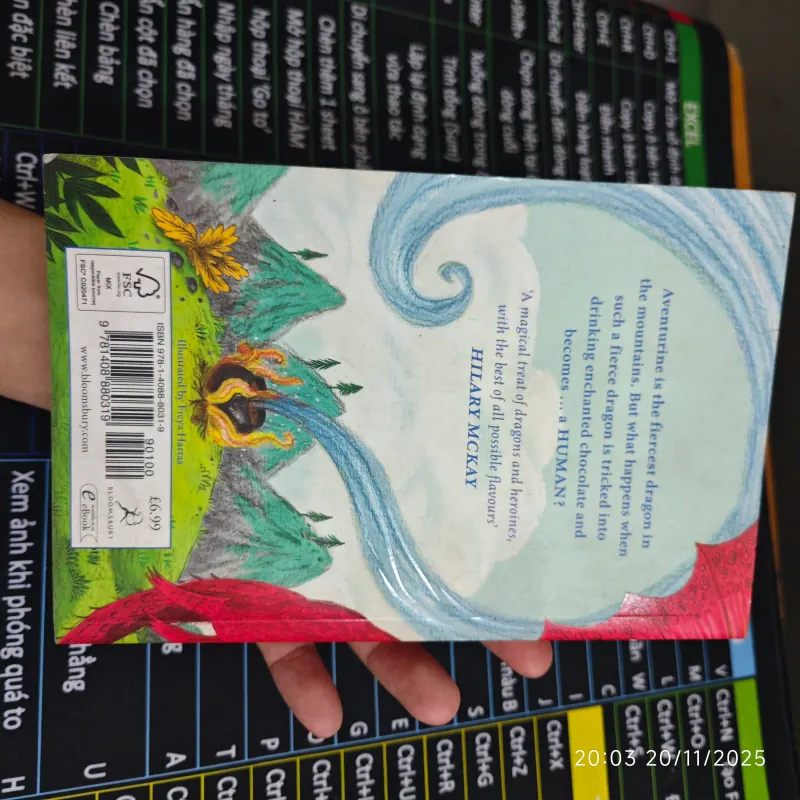 Dragon With a Chocolate Heart - Stephanie Burgis 702833