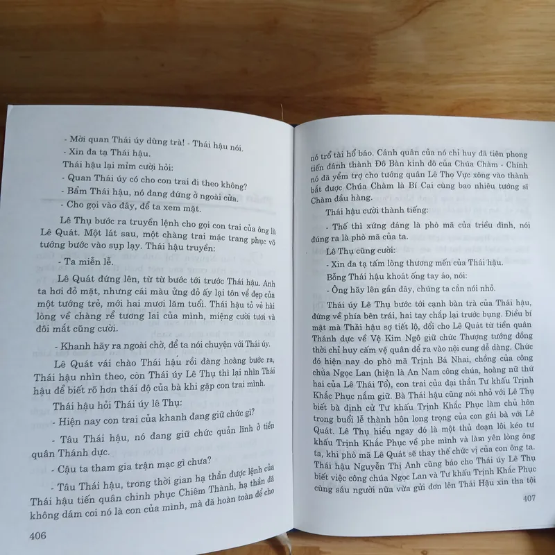 Cuộc Thăng Trầm (Tiểu Thuyết Lịch Sử)
- Minh Giang 196293