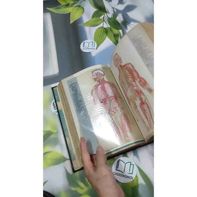 [MIỄN PHÍ BỌC SÁCH] Encyclopedia Americana 30 - Scholastic 750842