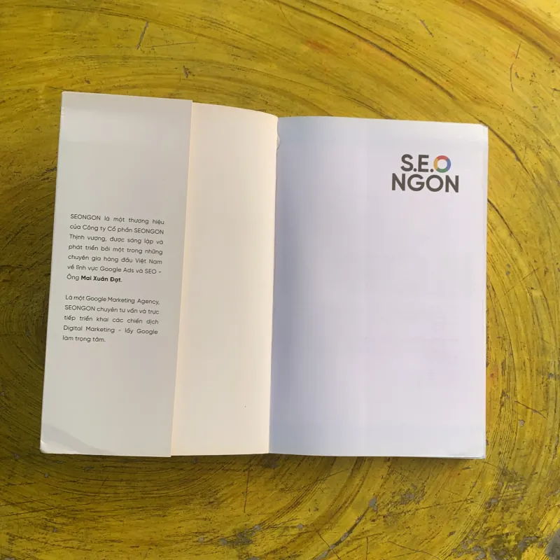 S.E.O NGON HIỂU ĐÚNG LÀM ĐÚNG TƯ DUY LÀM SEO TỪ NGUYÊN LÝ 991343