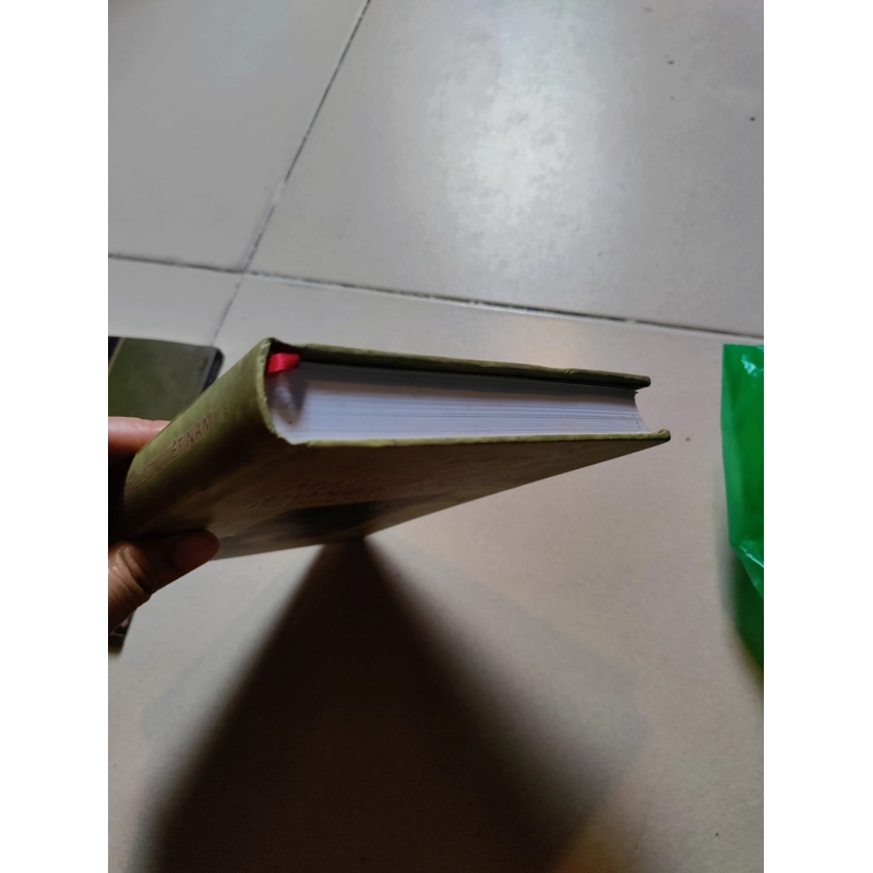 Mộ thuyền Đông sơn Việt Nam 478339