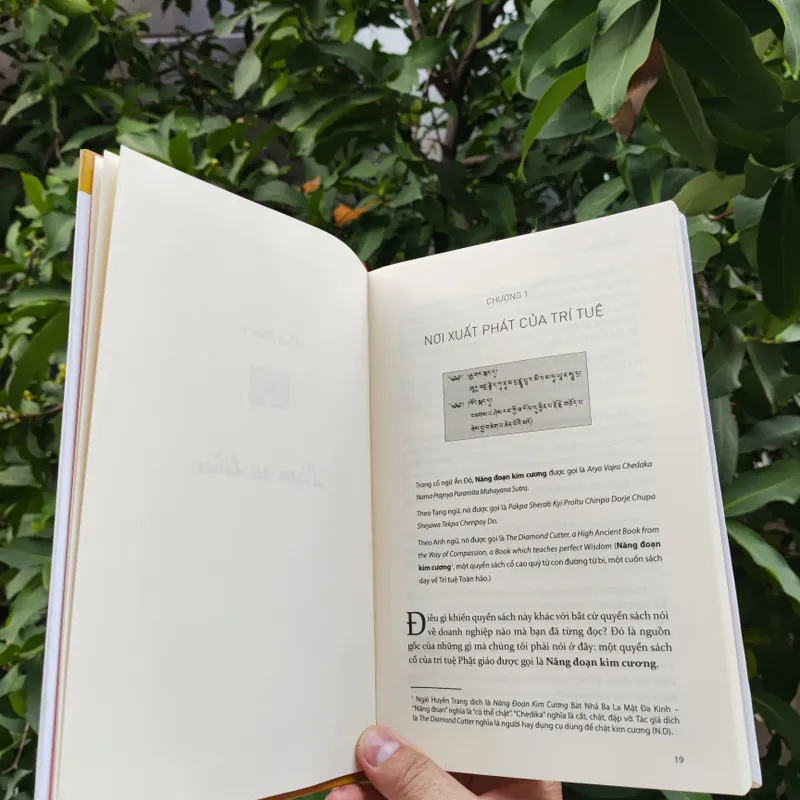 Năng Đoạn Kim Cương 706363