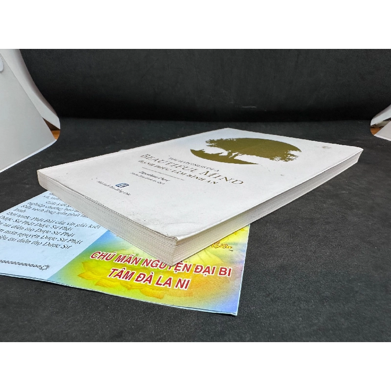 The Happiness Of A Beautiful Mind, Hạnh Phúc Tâm Bình An, Dipankara Theri, Mới 90%, 2018 SBM0609 916816