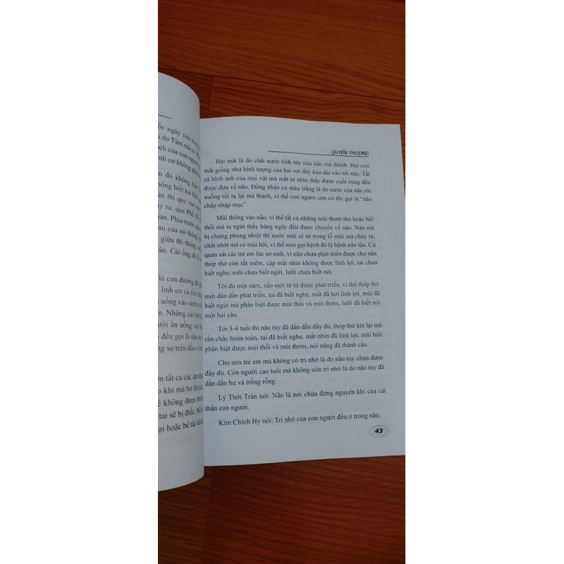 Y Lâm Cải Thác 458788