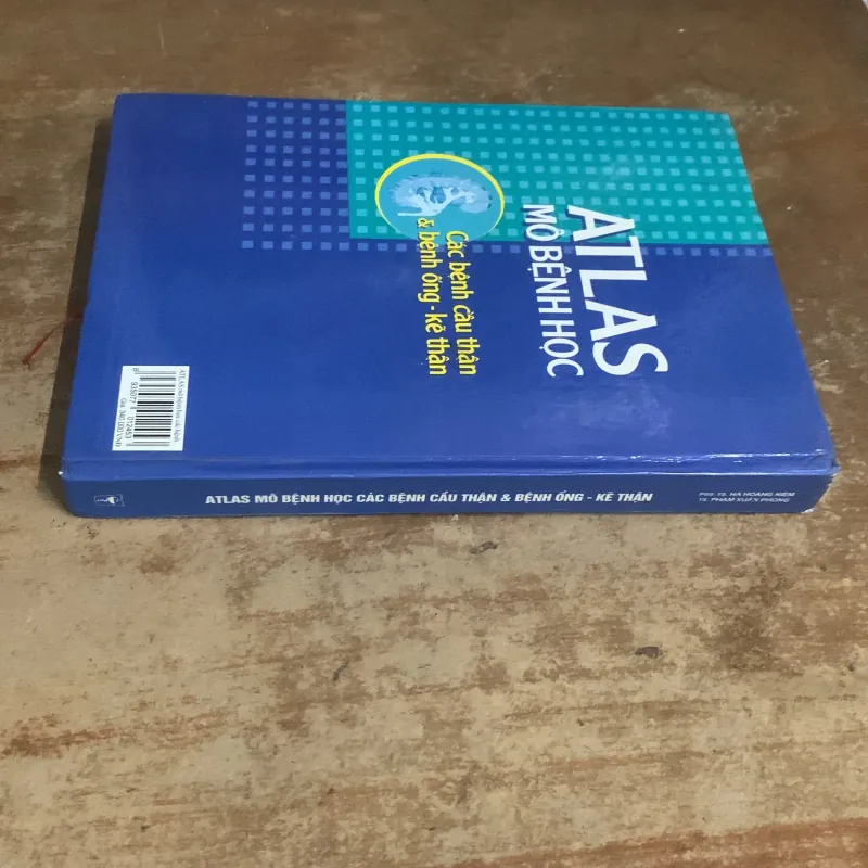 ATLAS MÔ BỆNH HỌC CÁC BỆNH CẦU THẬN & BỆNH ỐNG - KẼ THẬN 935201