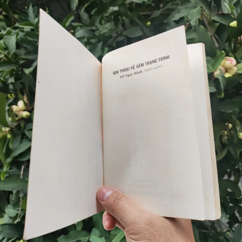 Giai Thoại Về Sấm Trạng Trình - Đỗ Ngọc Minh 762216