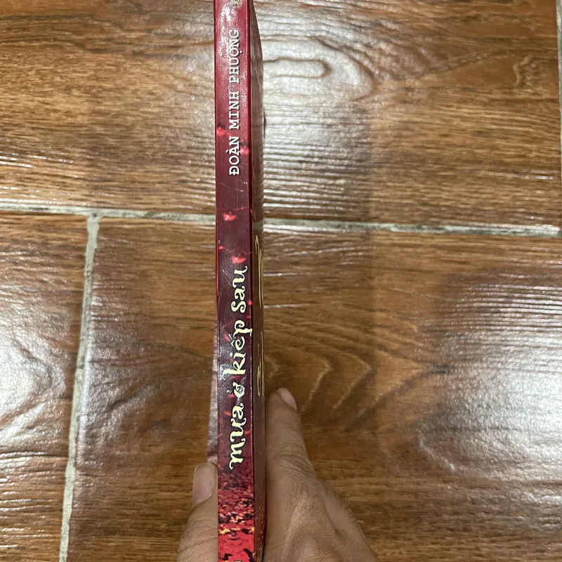 Mưa ở kiếp sau - Đoàn Minh Phượng (15) 570554