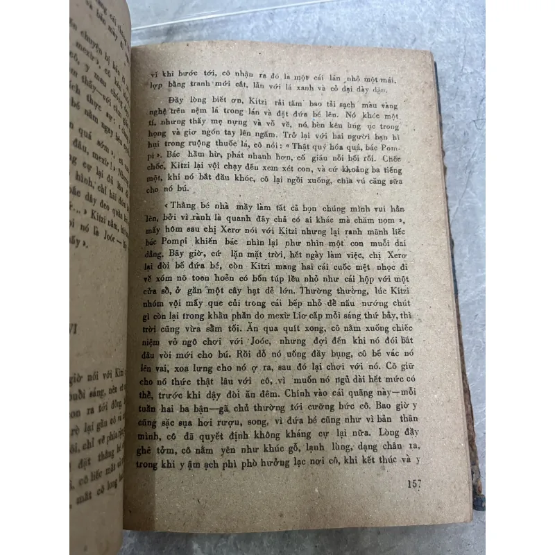 CỘI RỄ - DƯƠNG TƯỜNG 797723