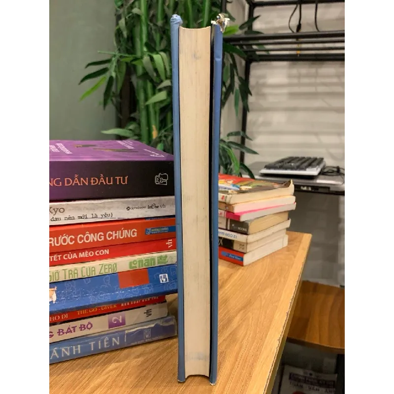 Vươn Cánh Bay Xa (Vietnam Airlines) – Tổng Công Ty Hàng Không Việt Nam 570810