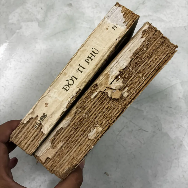 Đời tỉ phú (Bộ 2 tập) 1031567