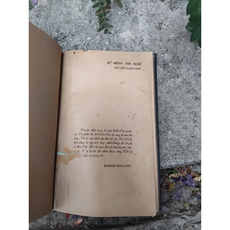 Sứ mệnh văn nghệ của Nguyễn Nam Châu 1026176