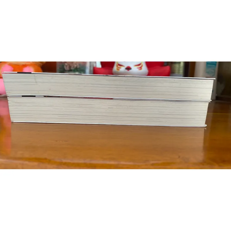 Combo tiểu thuyết như mới 80% 931985