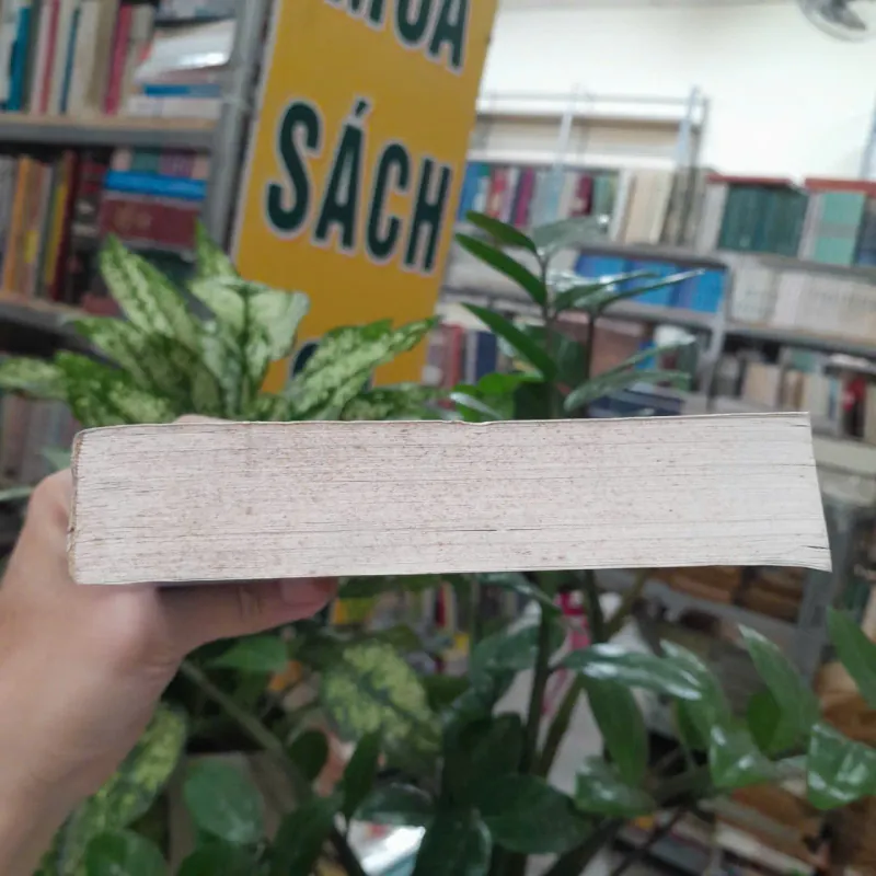 CÁC BÍ THƯ CỦA MAO TRẠCH ĐÔNG - DIỆP VĨNH LIỆT ( NGUYỄN THU HIỀN DỊCH) 1035895