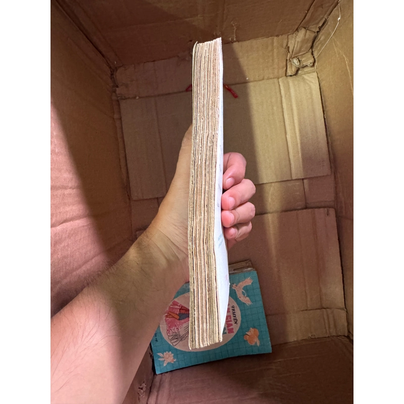 Truyện cổ tích Vua cá 447616