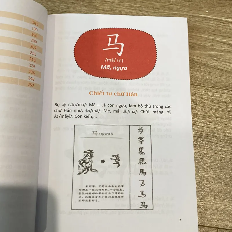 CÂU CHUYỆN CHỮ HÁN, THẾ GIỚI ĐỘNG VẬT, sách in màu minh họa đẹp 797838