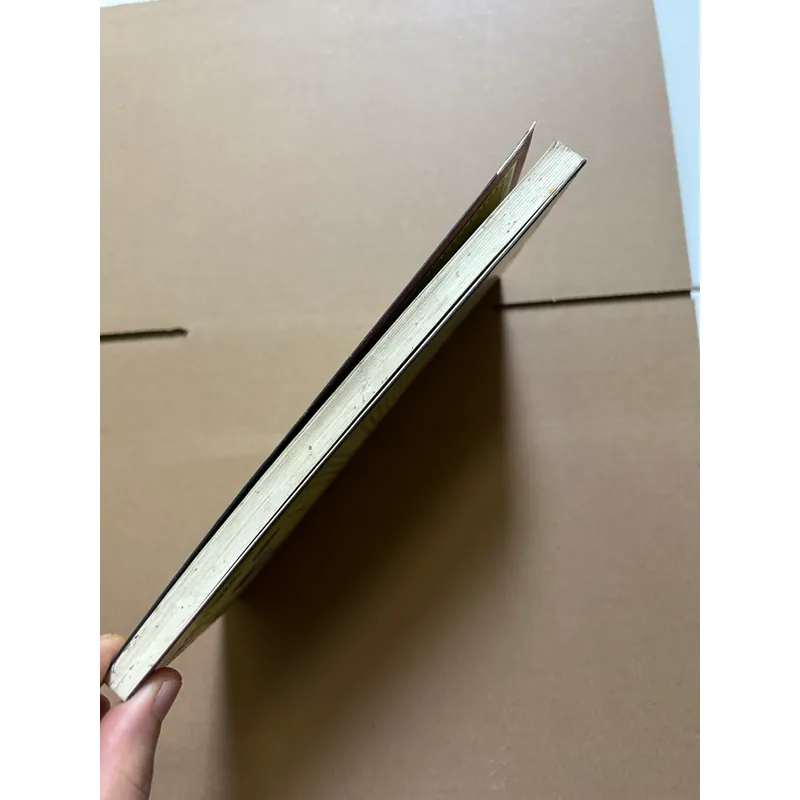 Người nam châm bí mật của luật hấp dẫn 722582