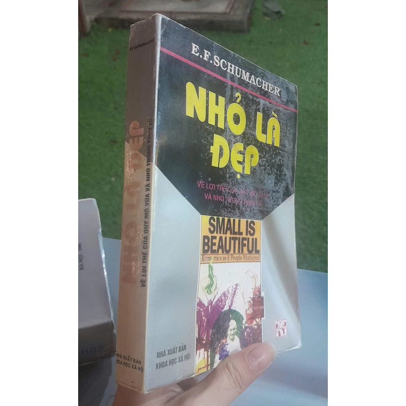 NHỎ LÀ ĐẸP - E. F. SCHUMACHER 460566