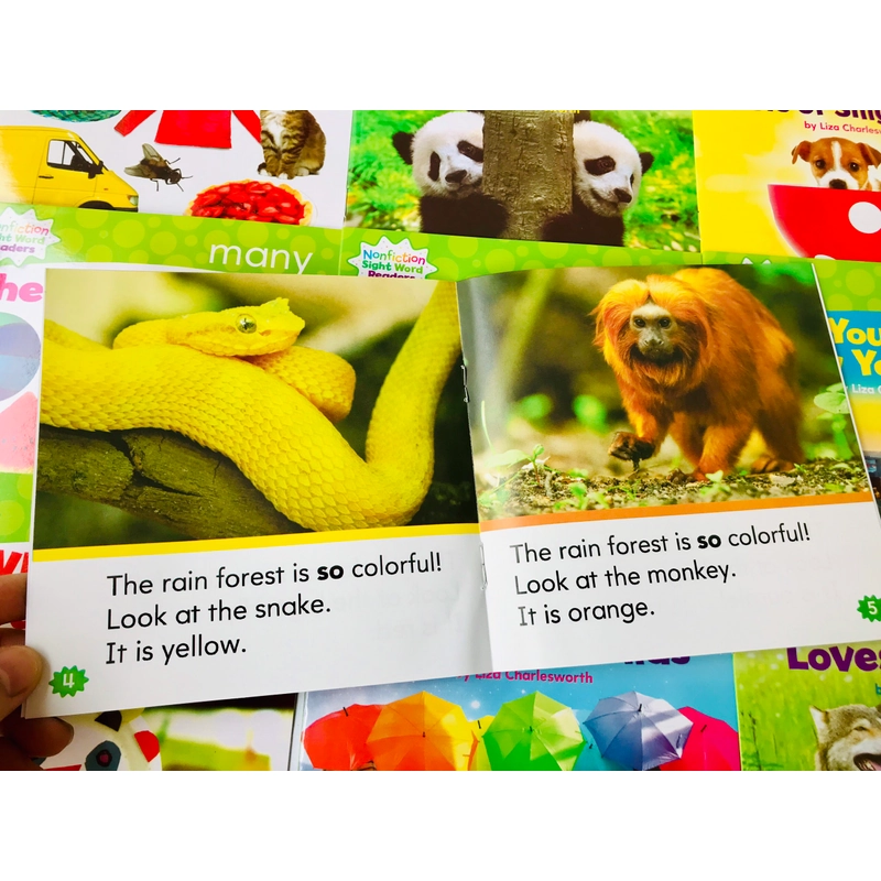 Bộ sách Nonfiction sight word readers 4 levels 466267