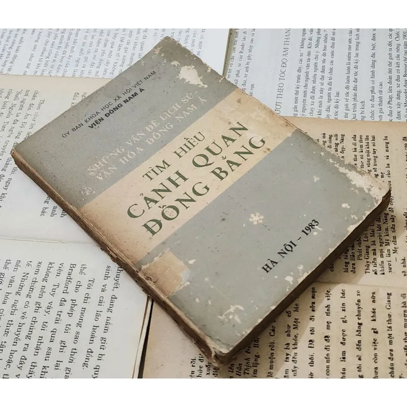 NHỮNG VẤN ĐỀ LỊCH SỬ VĂN HÓA ĐÔNG NAM Á - TÌM HIỂU CẢNH QUAN ĐỒNG BẰNG 707215