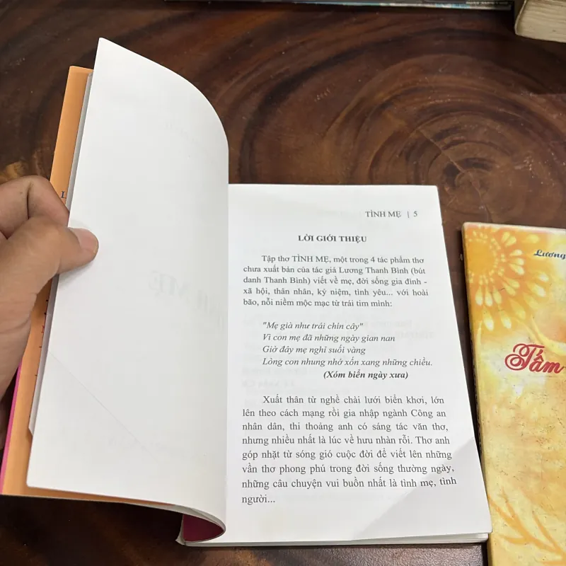 II Thơ: Tình Mẹ + Tấm Lòng Vàng - Lương Thanh Bình 998086