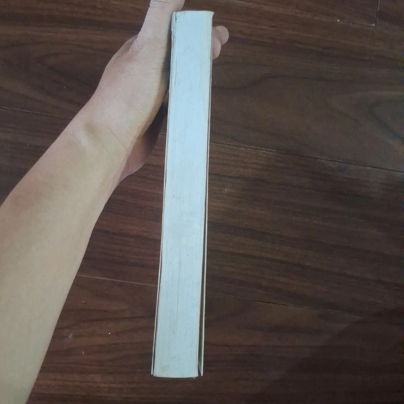 10 đại mỹ nhân trung quốc 508002