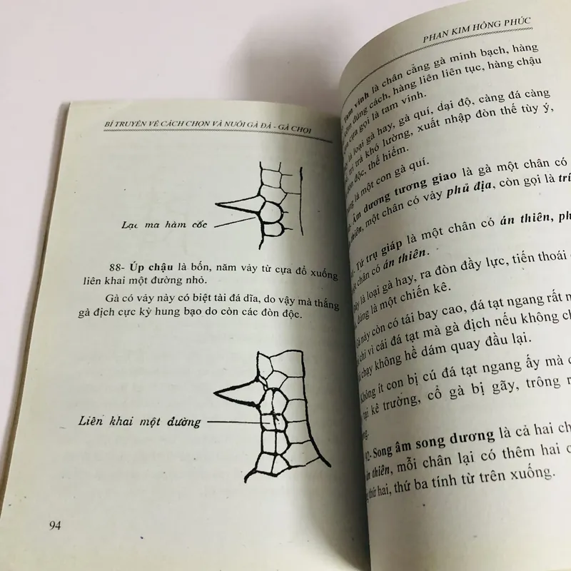 BÍ TRUYỀN VỀ CÁCH CHỌN VÀ NUÔI GÀ ĐÁ GÀ CHỌI 447866