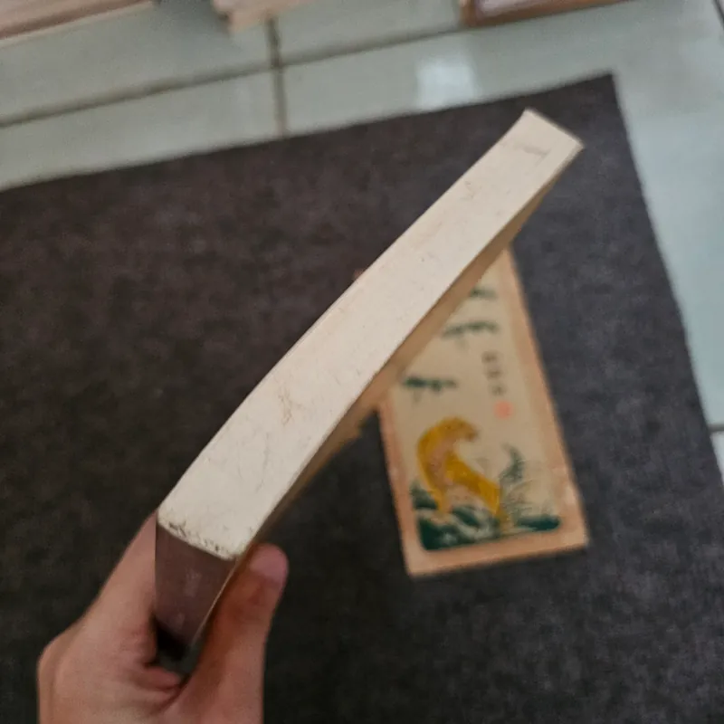 Bầu trời không mái che - có chữ ký Mai Văn Phấn  736890