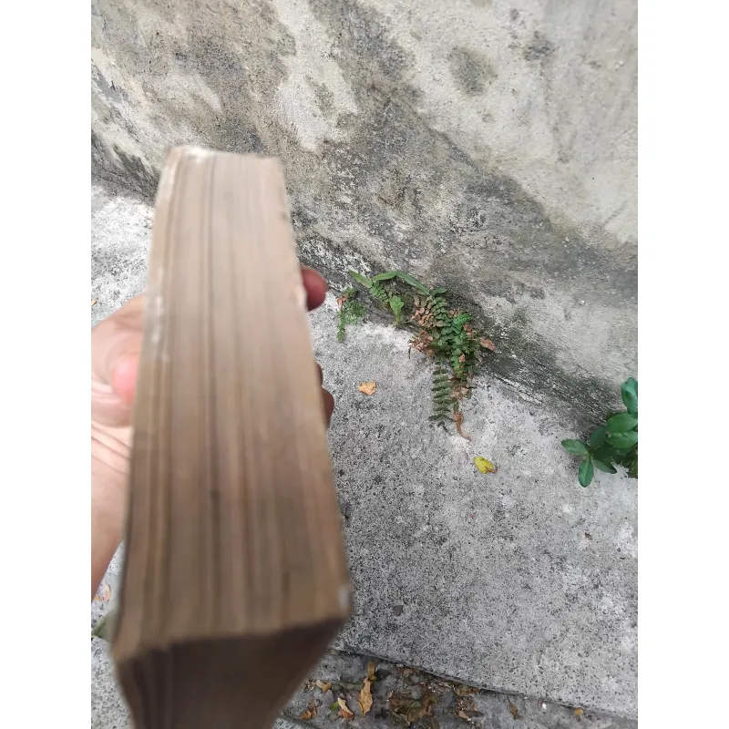 Về vấn đề xác định thành phần các dân tộc thiểu số ở miền Bắc Việt Nam  1019173