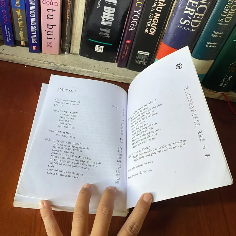 II Tựa sách: Để Có Một Tương Lai - Nhất Hạnh - Lá Bối 558045