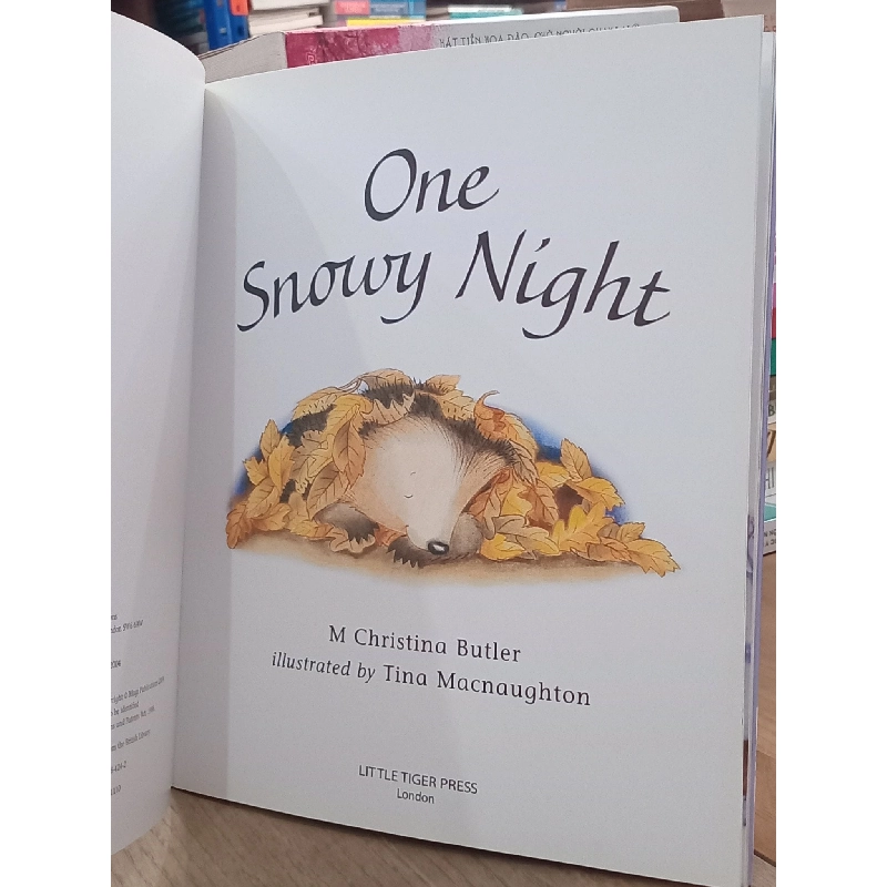 One Snowy Night - M.Christina Butler, Tina Macnaughton 993569