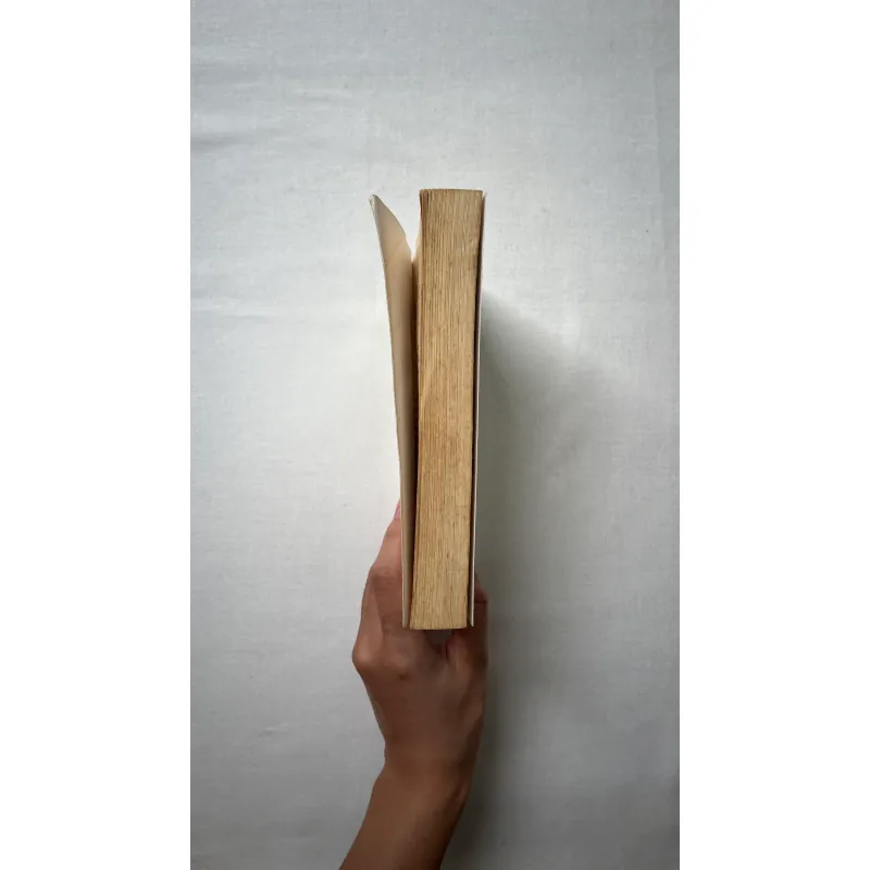 I Think, Therefore I Draw: Understanding Philosophy Through Cartoons 1028879