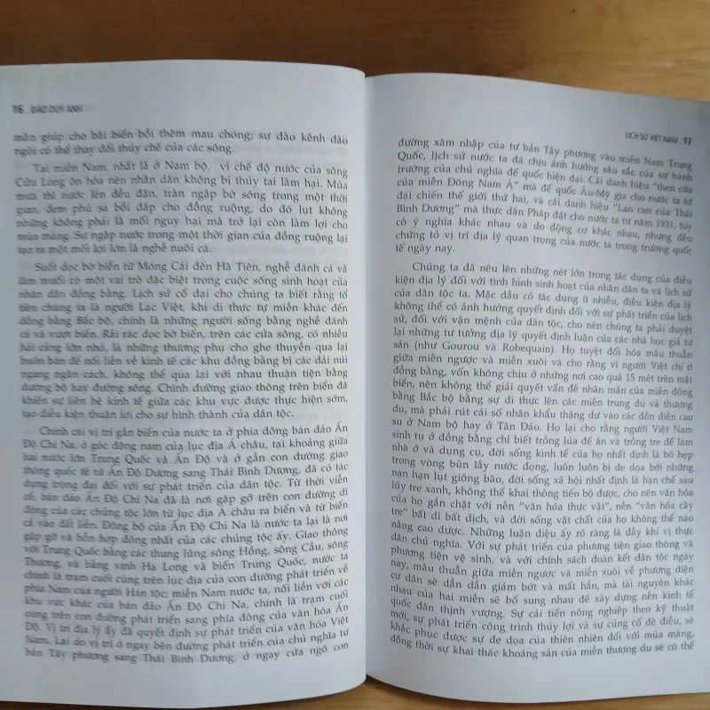 Lịch Sử Việt Nam (Từ Nguồn Gốc Đến Thế Kỷ XIX) - Đào Duy Anh 1030476