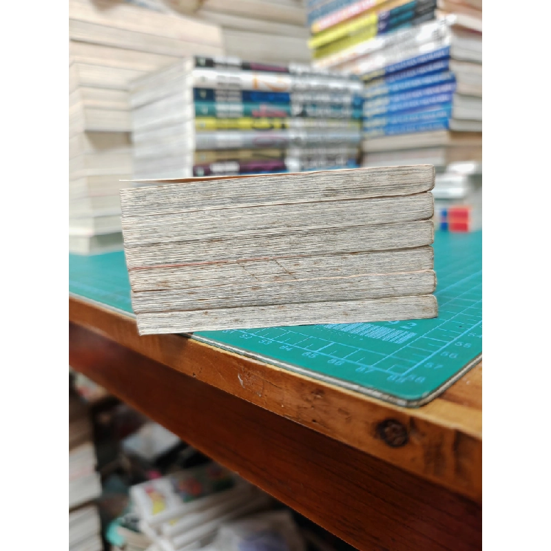 Truyện tranh thần hộ mệnh 469648