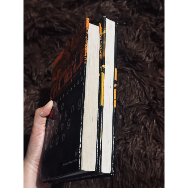 Combo 2 cuốn văn học Việt Nam (bìa cứng) 995033