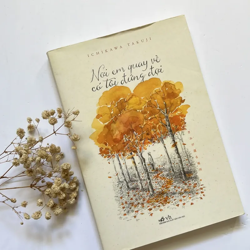 Nơi em quay về có tôi đứng đợi – Ichikawa Takuji 564219