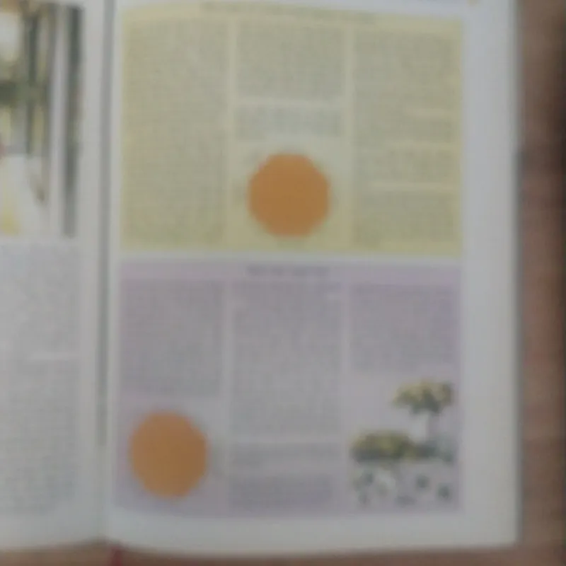 Phong thủy Nghệ thuật bài trí nhà cửa theo khoa học phương đông 1007222