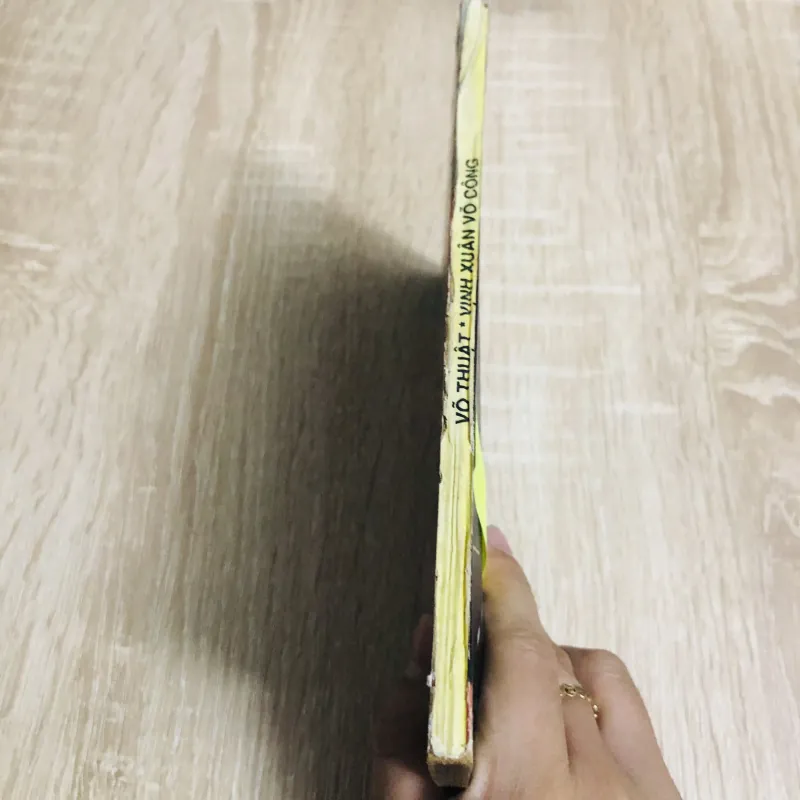 TÌM HIỂU VÕ THUẬT VỊNH XUÂN CÔNG PHU 531158