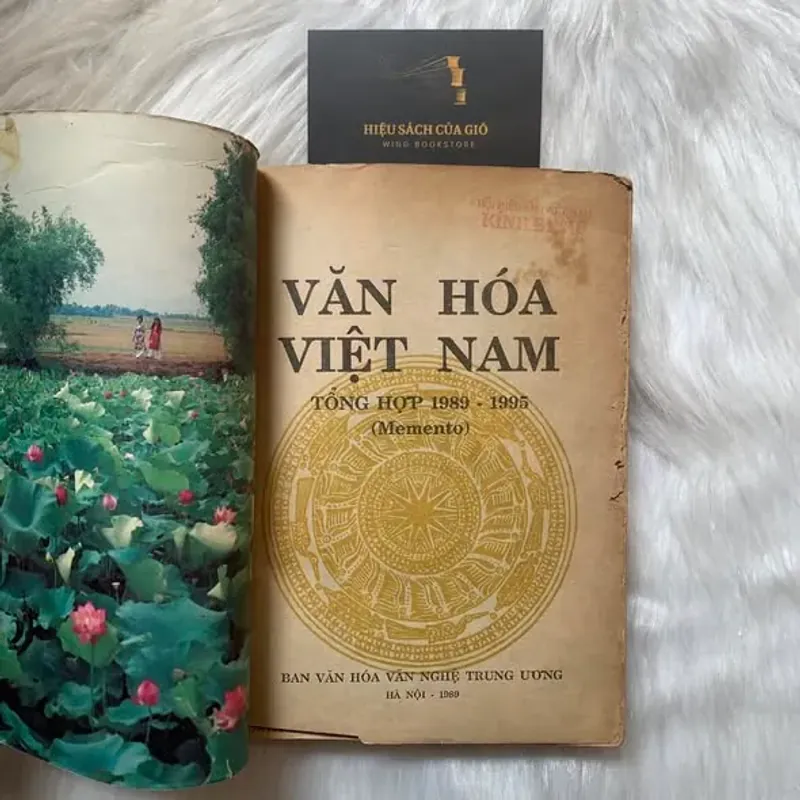 Văn hoá Việt Nam tổng hợp 1989 – 1995 (Memento) 790330