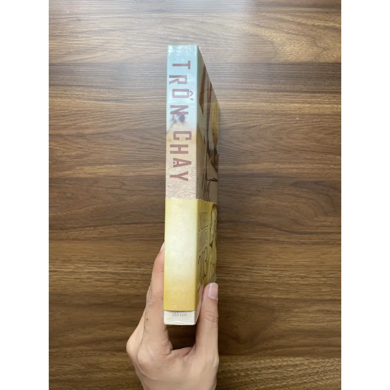 Trốn chạy - Alice Munro 975001