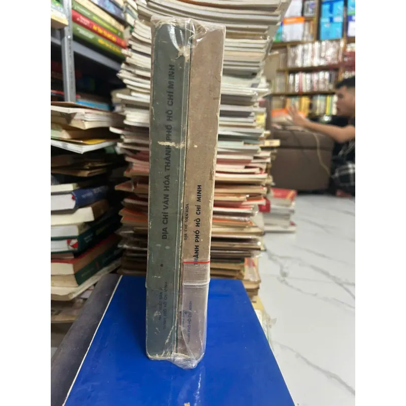 bộ 2 tập - Địa Chí Văn Hóa Thành Phố Hồ Chí Minh - Giáo sư Trần Văn Giàu (chủ biên) 700130