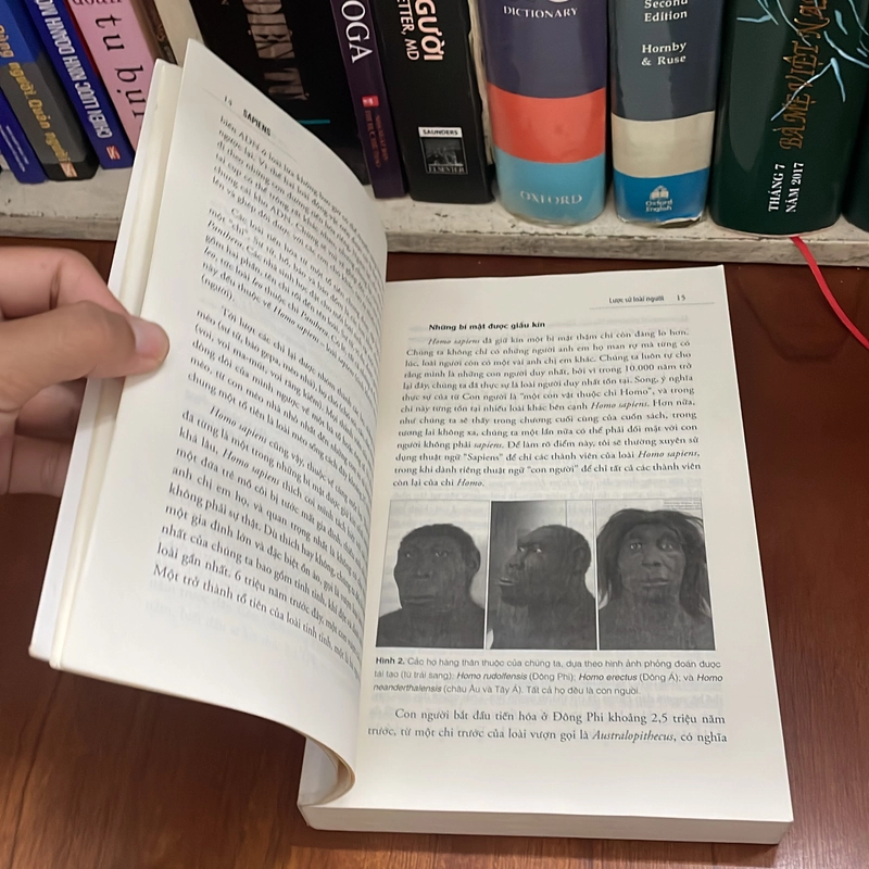 II Tựa Sách: Sapiens _ Lược Sử Loài Người - YUVAL NOAH HARARI - 2018 496833