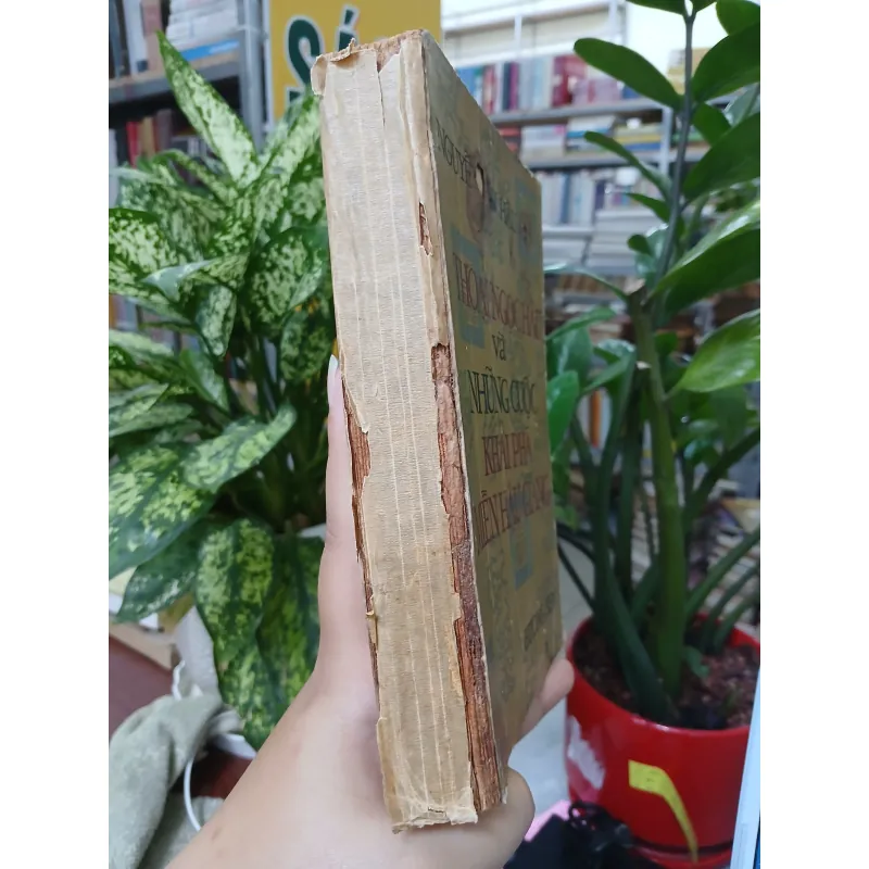 THOẠI NGỌC HẦU VÀ NHỮNG CUỘC KHAI PHÁ MIỀN HẬU GIANG - NGUYỄN VĂN HẦU 936516