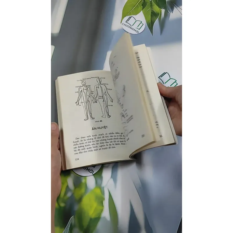 Xem Tướng Biết Sức Khỏe - Ngô Ánh Tuyết 776162