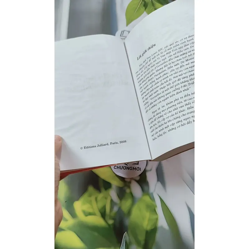 Chuyện Tình Của Hầu Tước Montespan - Jean Teulé 744673