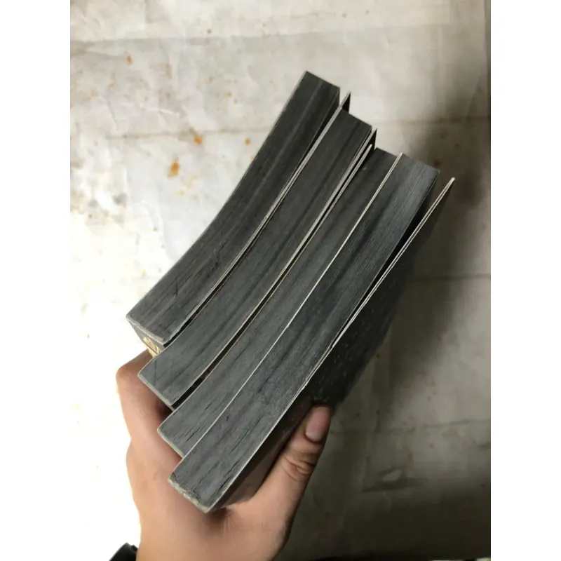 Trọn bộ 4 tập Móng Vuốt Quạ Đen - Leigh Bardugo 745462