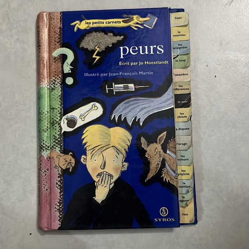 Peurs- les petits carnets 503659
