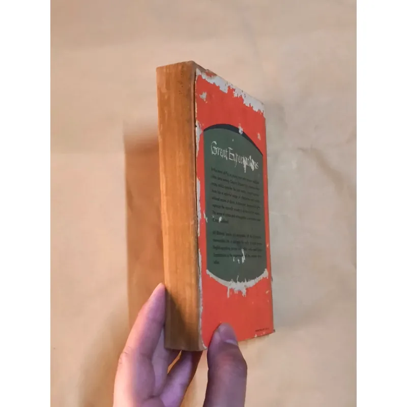 Great Expectations - Charles Dickens 999827