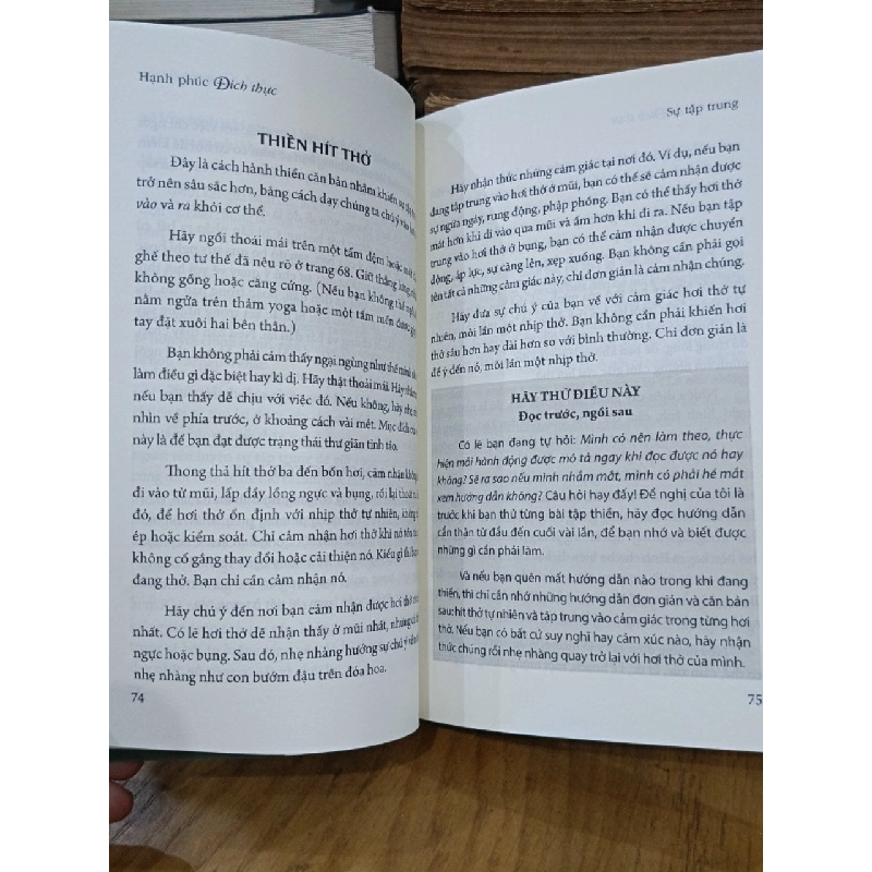 Hạnh phúc đích thực: Sức mạnh của thiền - Sharon Salzberg (Tố Khanh dịch) 455387