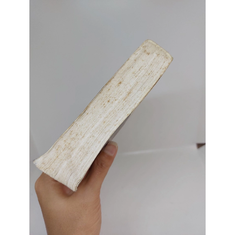 Tiểu thuyết Việt Nam thời kỳ đổi mới mới 80% bị ố vàng 2004 HCM.ANTQ1509 912267