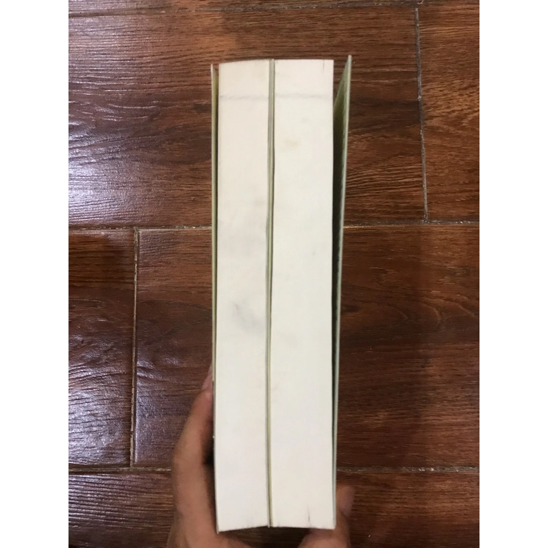 Anna Karenina - Lev Tolstoy bộ 2 tập (19) 471561
